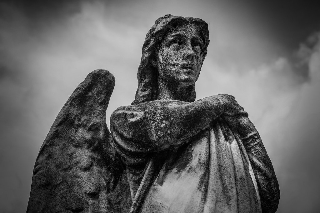 Becoming devoid of faith cannot be my conclusion&nbsp;…